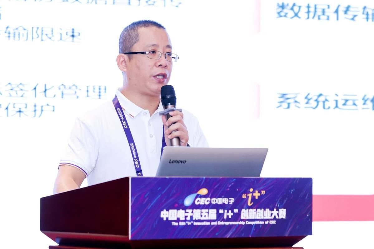 Shelled Walnut Kernels